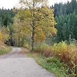 Apartmán Elegante Im Schwarzwald,