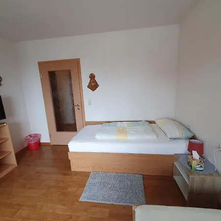 Daire Elegante Im Schwarzwald, *