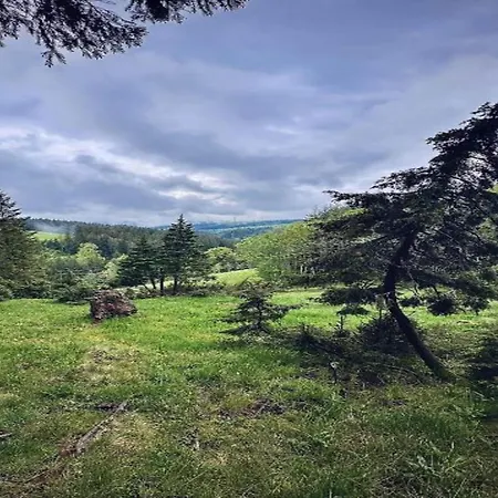 Elegante Im Schwarzwald, Daire