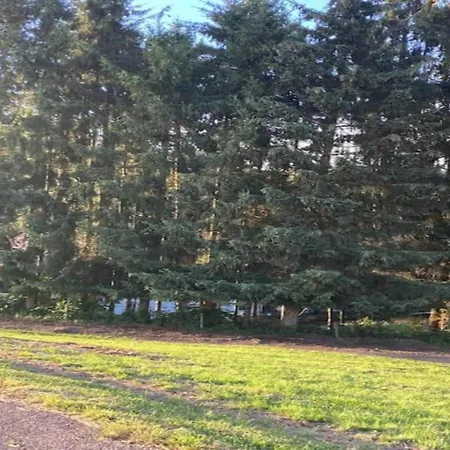 Elegante Im Schwarzwald,