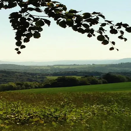 Apartamento Elegante Im Schwarzwald,
