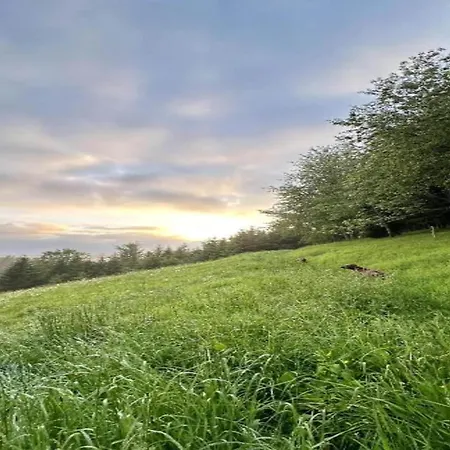 Elegante Im Schwarzwald, * Gorwihl