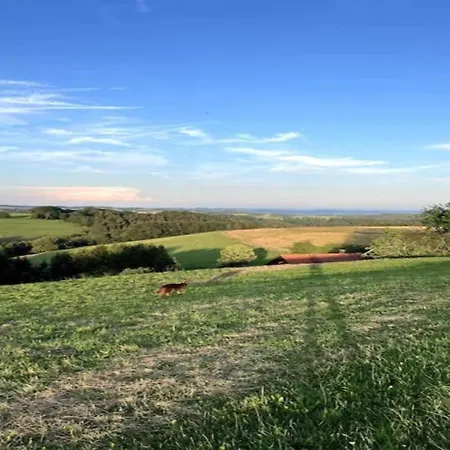 Elegante Im Schwarzwald,