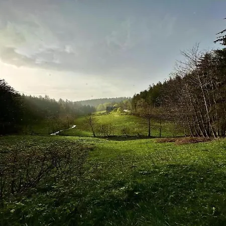 Elegante Im Schwarzwald, アパート *