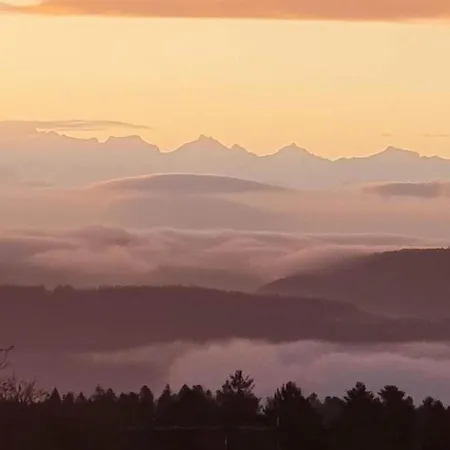 Elegante Im Schwarzwald, Daire