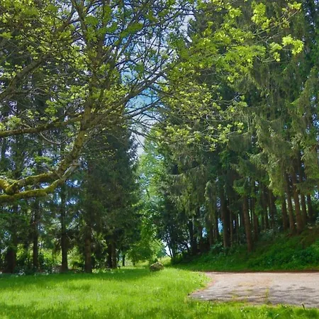 Daire Elegante Im Schwarzwald,