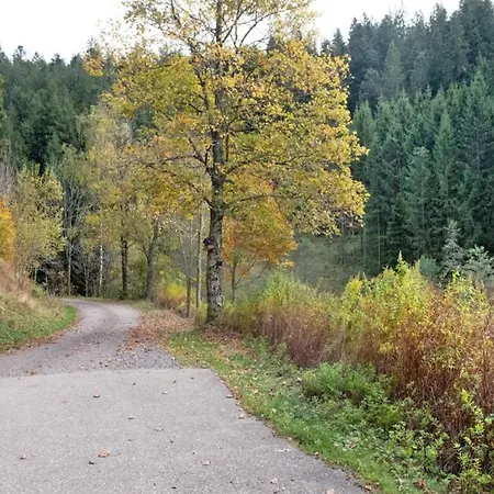 Daire Elegante Im Schwarzwald,