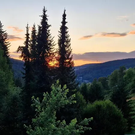 Daire Elegante Im Schwarzwald, Gorwihl