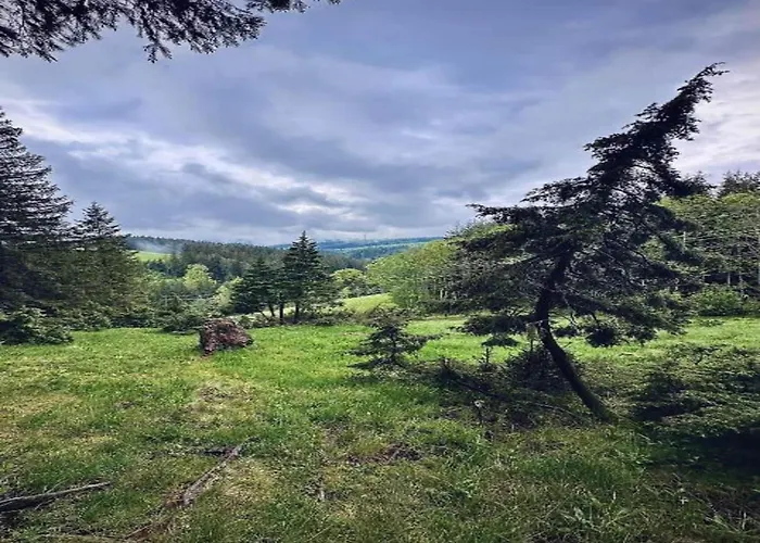 Elegante Im Schwarzwald, شقة