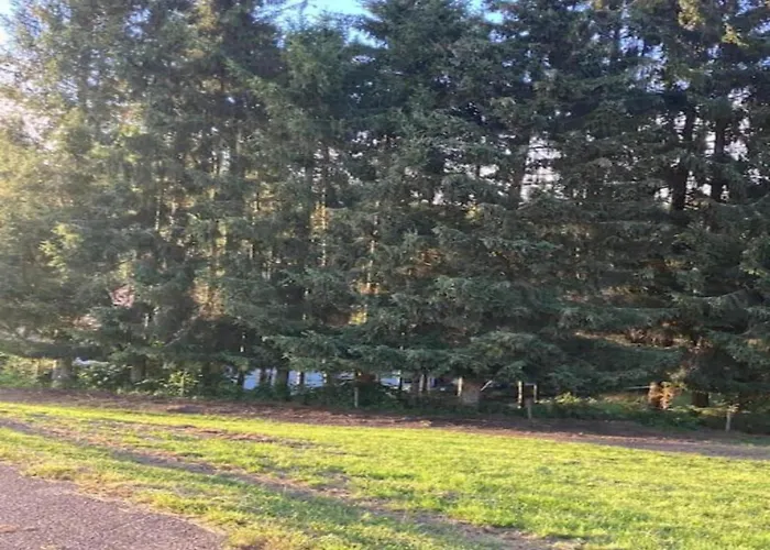 Elegante Im Schwarzwald,