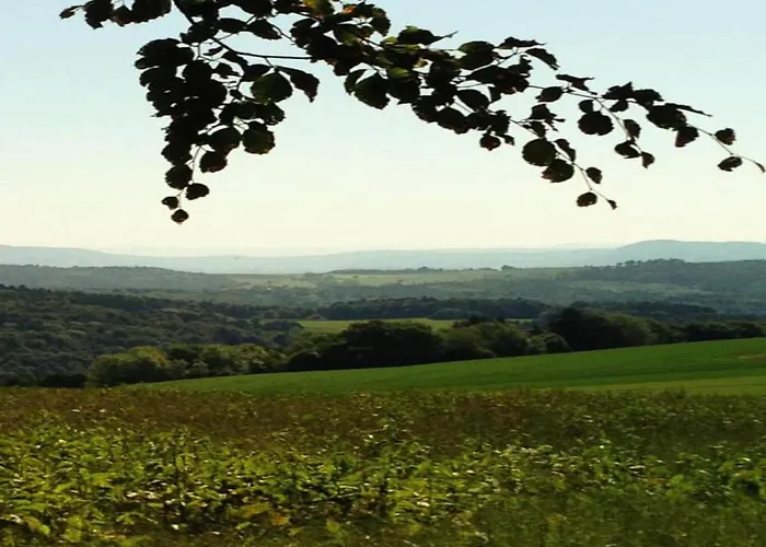 Apartamento Elegante Im Schwarzwald,