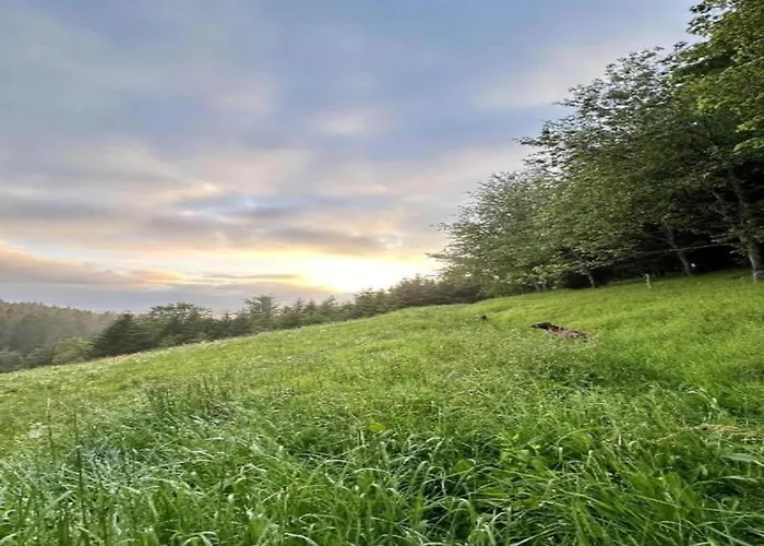 Elegante Im Schwarzwald, * Gorwihl