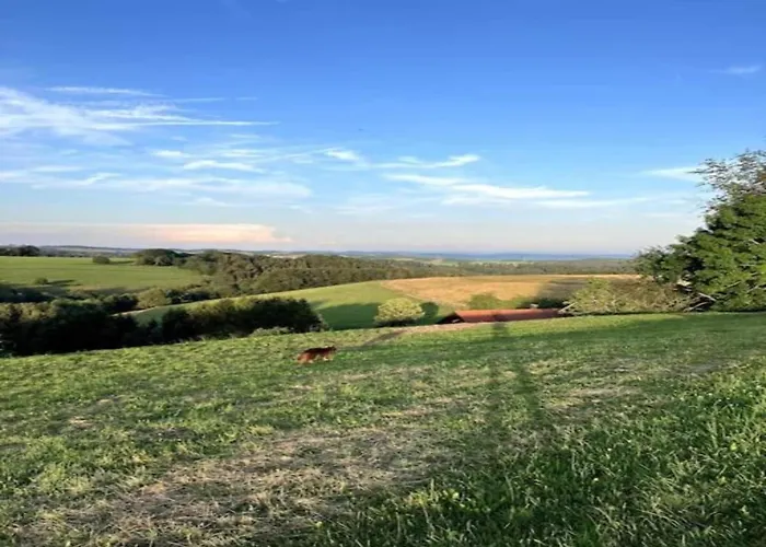 Elegante Im Schwarzwald,