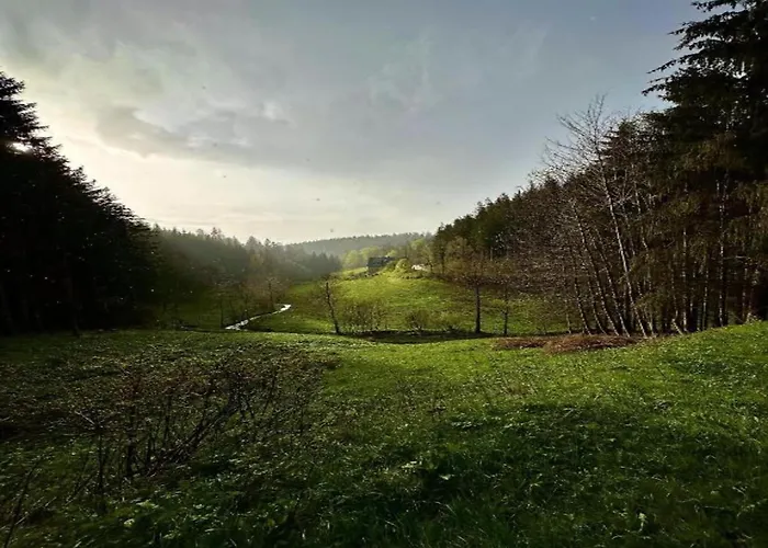 Elegante Im Schwarzwald, شقة *