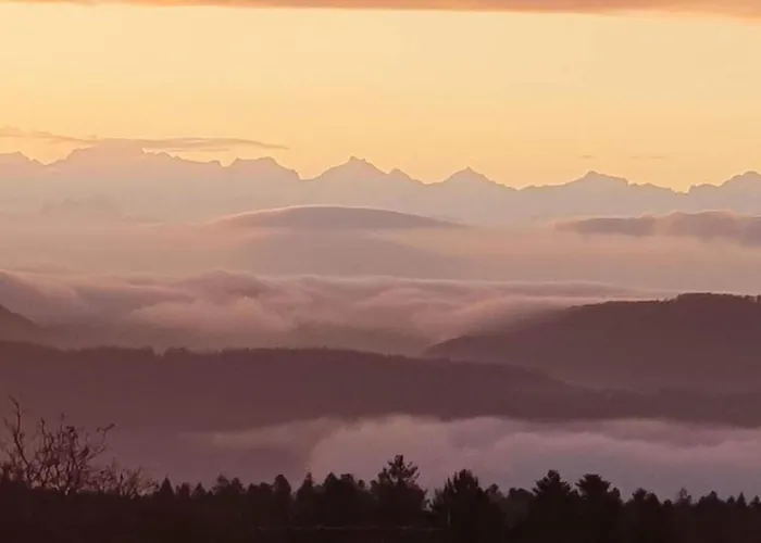 Elegante Im Schwarzwald, شقة