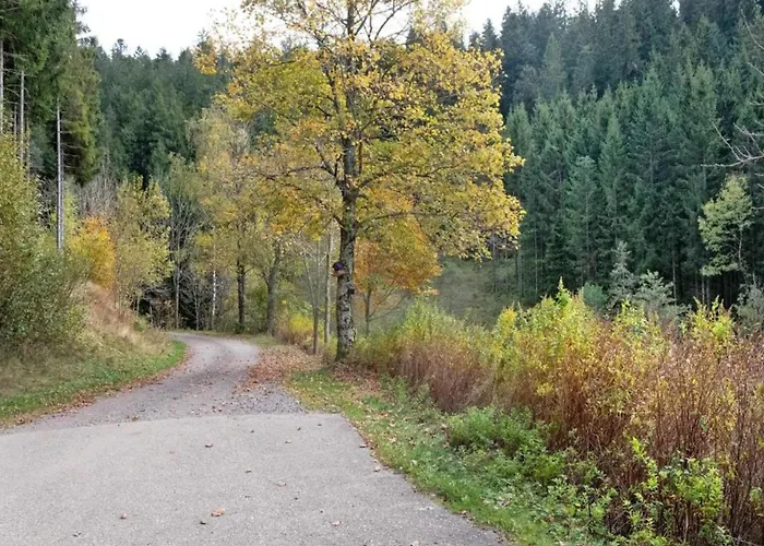 Apartamento Elegante Im Schwarzwald,
