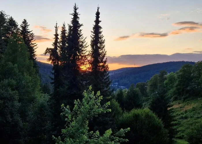 شقة Elegante Im Schwarzwald, Gorwihl